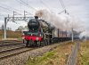 DSC_5949 1.jpg