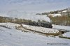 _DSC0148.JPG
