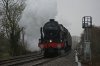 DSC03374.jpg