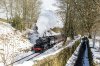 _DSC8492.jpg