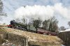 _DSC8498.jpg