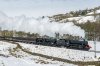 _DSC8504.jpg
