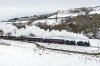 _DSC8510.jpg