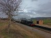 IMG_20230311_144554945.jpg