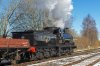239 52322 Ramsbottom 10-03-23.jpg