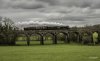 Flying Scotsman 1 NP.jpg