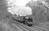 44932 Shrewley 010423 bw lr.jpg