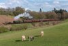 23D_0660 4079 Eardington 100423.jpg
