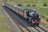 D72_6550-2-44932.jpg
