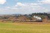 _DSC8627.jpg