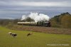 _DSC1121 edit.JPG