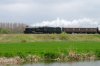 IMGP7640_1as.jpg