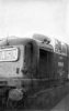 640813-D9018-'Ballymoss',-Newcastle-13-Aug-64-(D-Cunningham)-fbook.jpg
