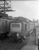 01-EE-Type-5--Deltic-D9011--The-Royal-Northmberland-Fusiliers,-Newcastle-22-Oct-1966-fbook.jpg
