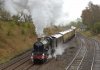7029-02g.JPG