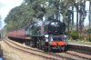 Holt 34028.JPG