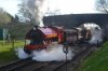 Weybourne 401.JPG