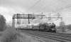 23D_1137 7029 Mill Meece  bw 290423.jpg