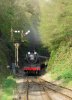 53808 cutting 29-04-23.JPG