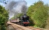 _DSC3223-Edit.jpg