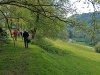 IMG_20230513_153538243.jpg
