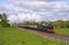 46100 Jack Green.jpg
