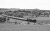 _DSC3244-Edit.jpg