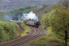 46100-(12)-Lunds-Paddock-fbook.jpg