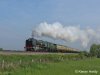 IMG_6219_lzn copya.jpg