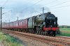 46115-(159)-Alnmouth-fbook.jpg