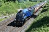 English Riviera Express 60007 Sir Nigel Gresley. Crawling up tp a red sinal at Bradford on Tone..jpg