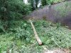 DSCF2724.JPG