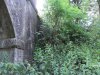 DSCF2720.JPG