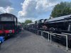 nw yard.jpg