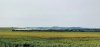 DSC_2989~3.JPG