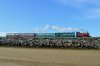 DSC_0300.jpeg