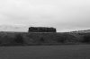 IMG_1999BW.jpg