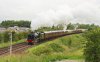 IMG_7896.jpeg