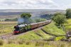 60103-(44)-Lunds-Paddock-fbook.jpg