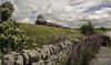 Dalesman 45627 SL 1 NP.jpg