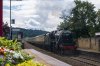 DSC_16035.jpg