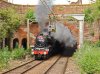 IMG_7983.jpeg