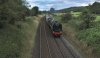 115A9977b.jpg