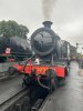 IMG_6484.jpeg