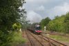 44932-01c.JPG