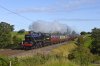 44932 Bay Horse.jpg