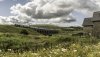 Pendle 44932 1 NP.jpg