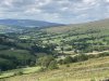 IMG_1263.jpeg