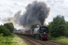 DSC_16276.jpg