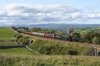 45699 Birkett Common.jpg